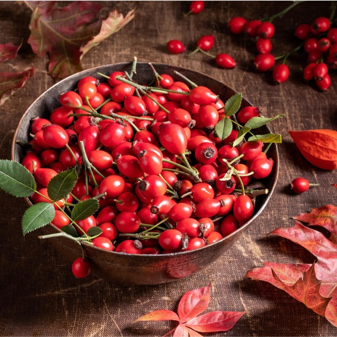 Sirup rakytník šípka