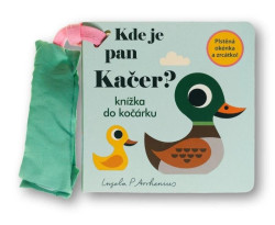 Kde je pan Kaer?