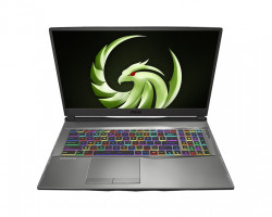 MSI Alpha 17.3