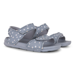 Sandle Daisy Flowers