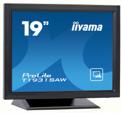 19