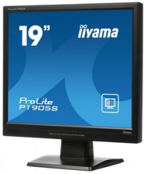 19
