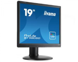19