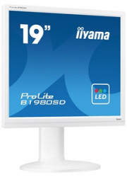 19