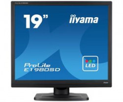 19