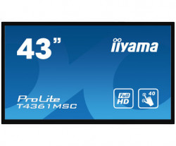 43
